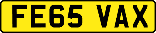 FE65VAX