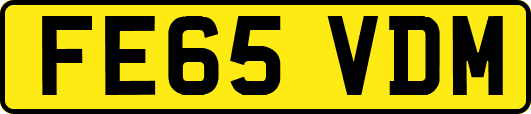 FE65VDM