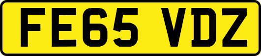 FE65VDZ