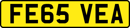 FE65VEA