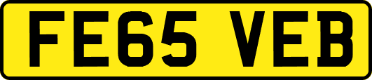 FE65VEB