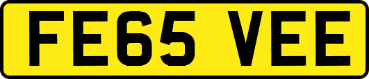 FE65VEE
