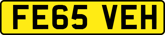 FE65VEH