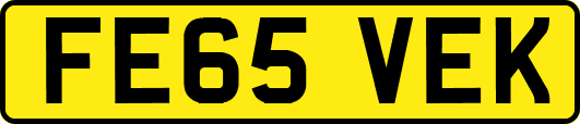 FE65VEK