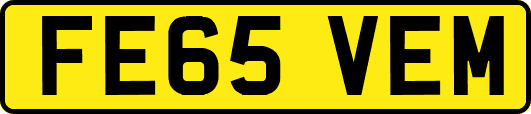 FE65VEM