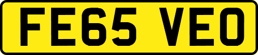 FE65VEO