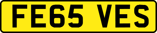FE65VES