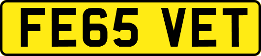 FE65VET