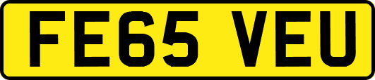 FE65VEU