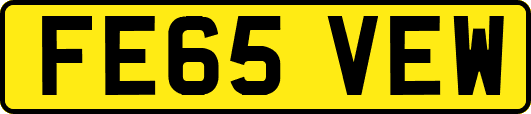 FE65VEW