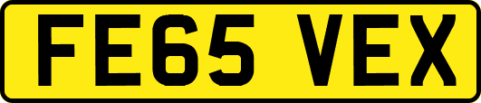 FE65VEX