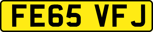 FE65VFJ