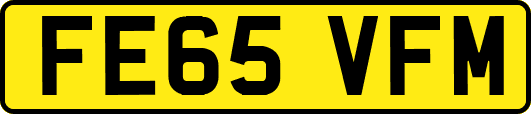 FE65VFM