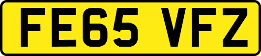 FE65VFZ