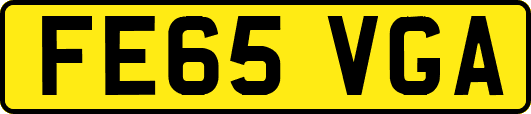 FE65VGA