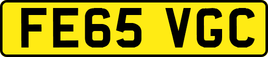 FE65VGC