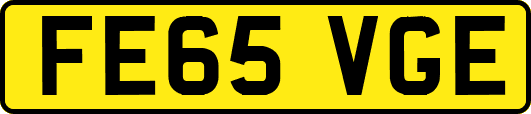 FE65VGE