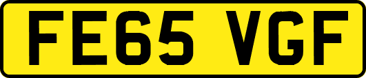 FE65VGF