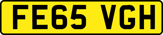 FE65VGH