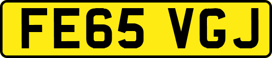 FE65VGJ