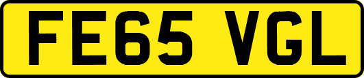 FE65VGL