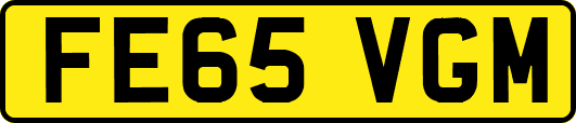 FE65VGM