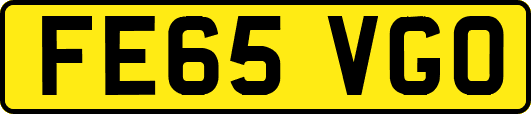 FE65VGO