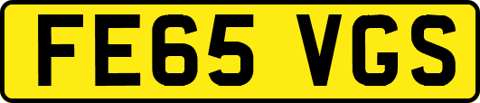 FE65VGS
