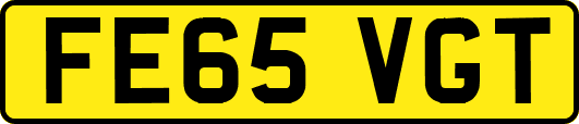 FE65VGT