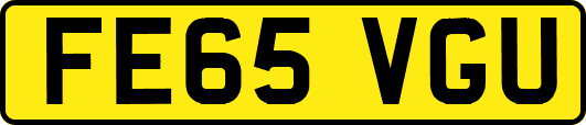 FE65VGU