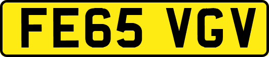 FE65VGV