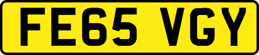 FE65VGY