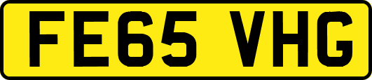 FE65VHG