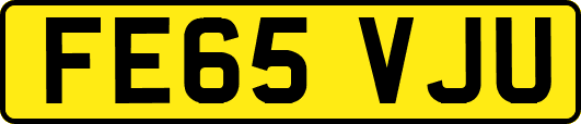 FE65VJU