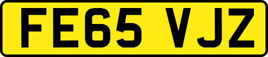 FE65VJZ