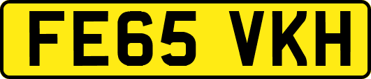 FE65VKH