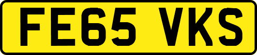 FE65VKS