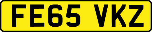 FE65VKZ