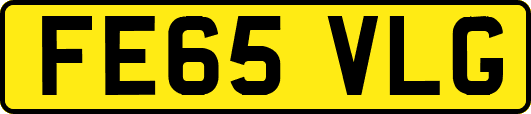 FE65VLG