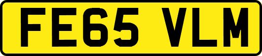 FE65VLM