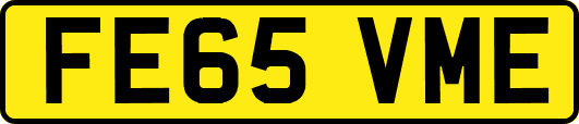 FE65VME