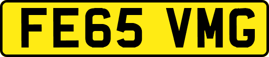 FE65VMG