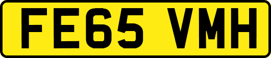 FE65VMH