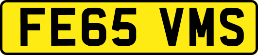 FE65VMS