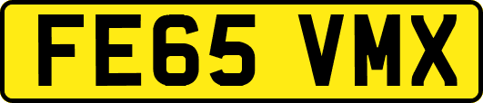 FE65VMX