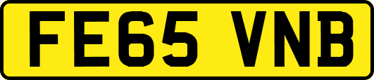 FE65VNB