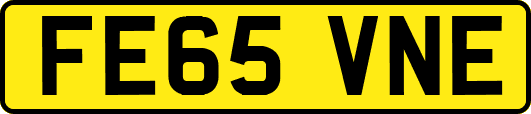 FE65VNE