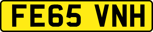 FE65VNH