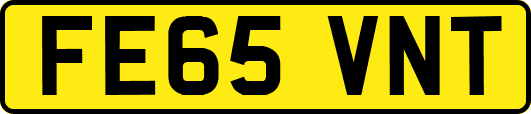 FE65VNT