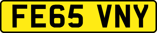FE65VNY